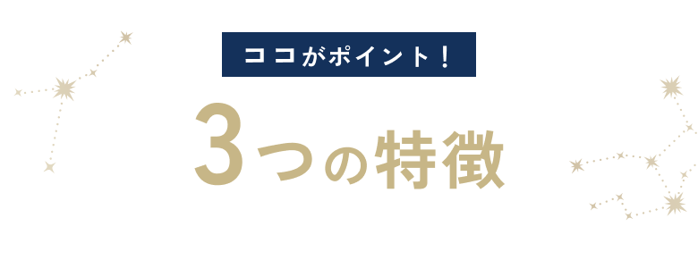 stylefitpillowの3つの特徴